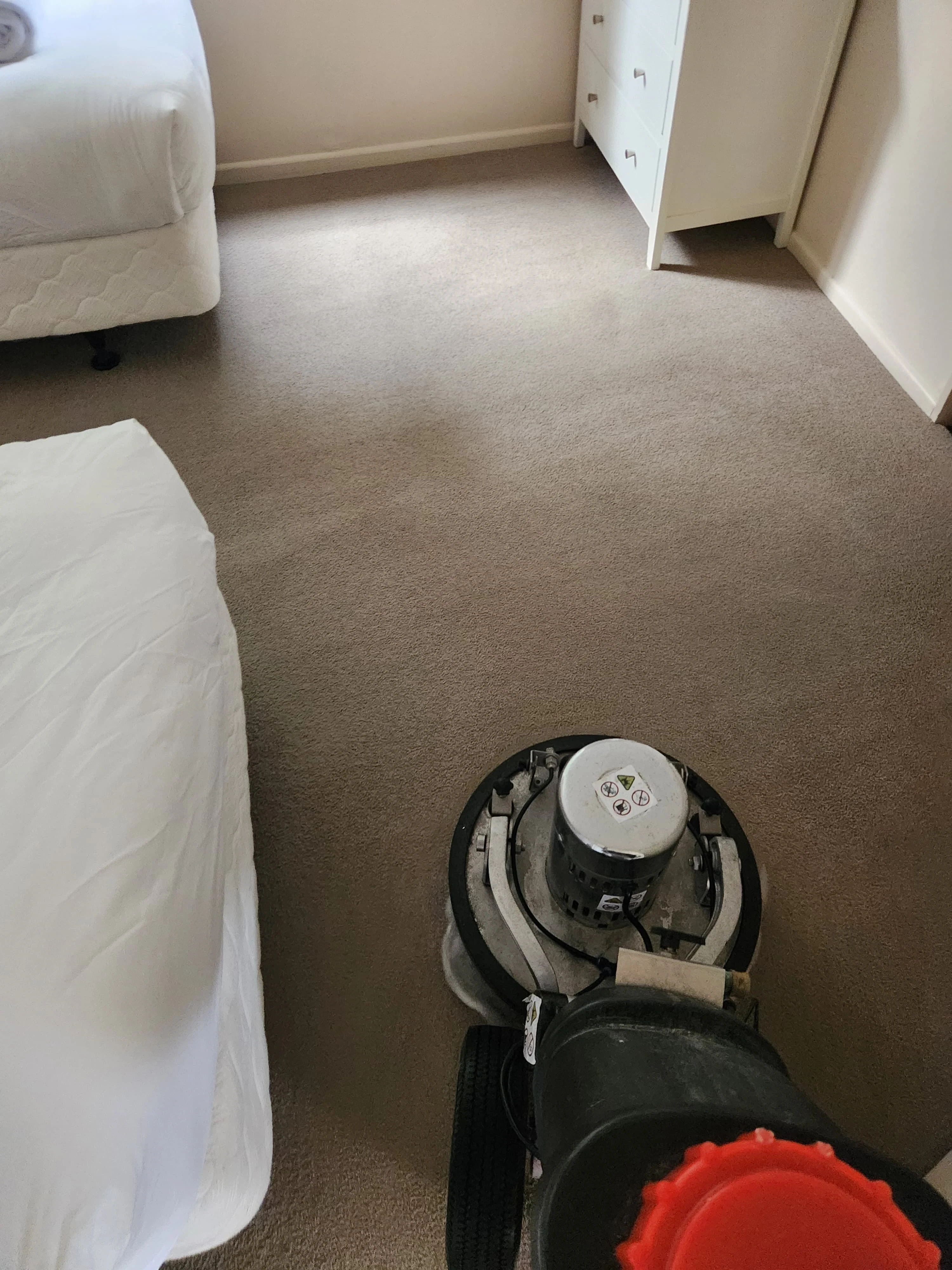 Professional carpet cleaning process